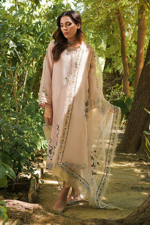 sachin and babi light blue dress Sparkling Eid: Find Your Perfect Eid Dresses Pakistani