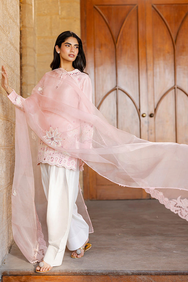 Amal - Farshi Shalwar